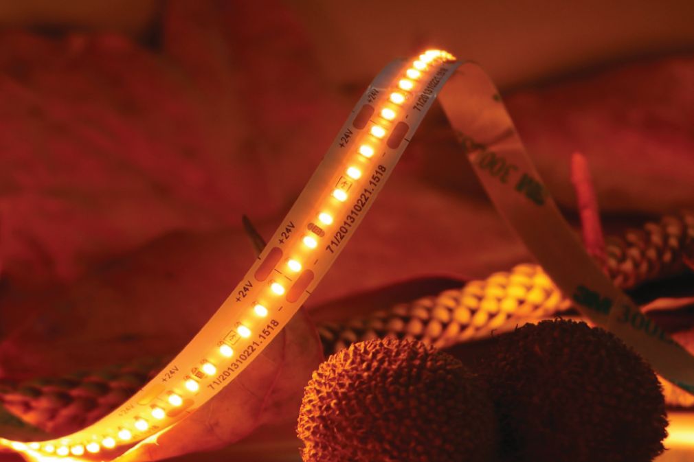 Fita Led CUPIDO 15W/mt 2200K 24Vdc IP20