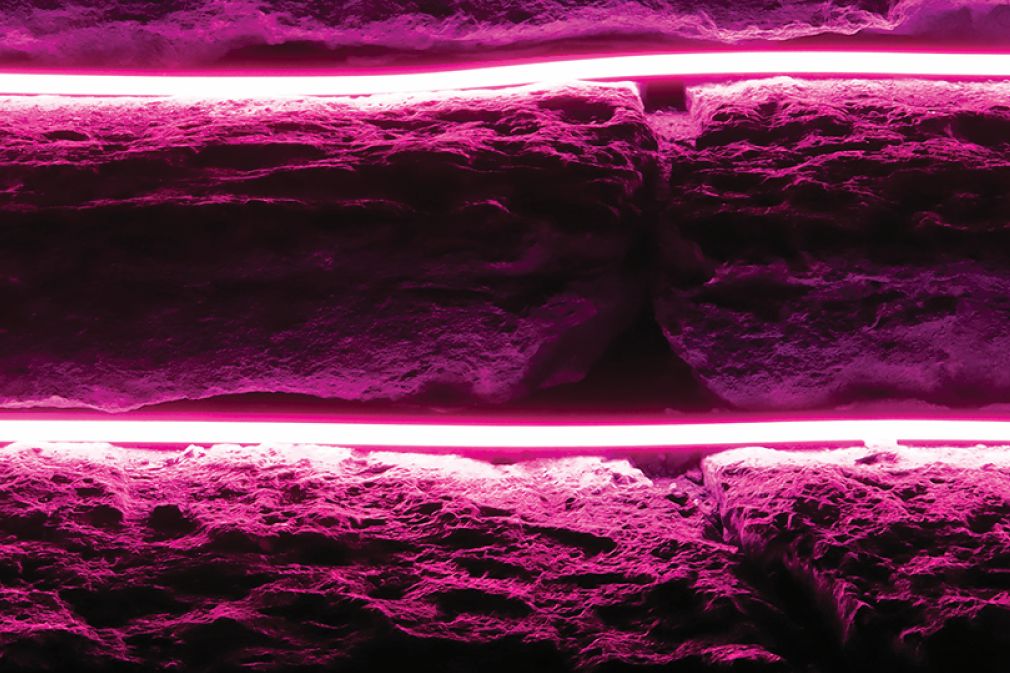 1313116.15RGBWW_66564988102677