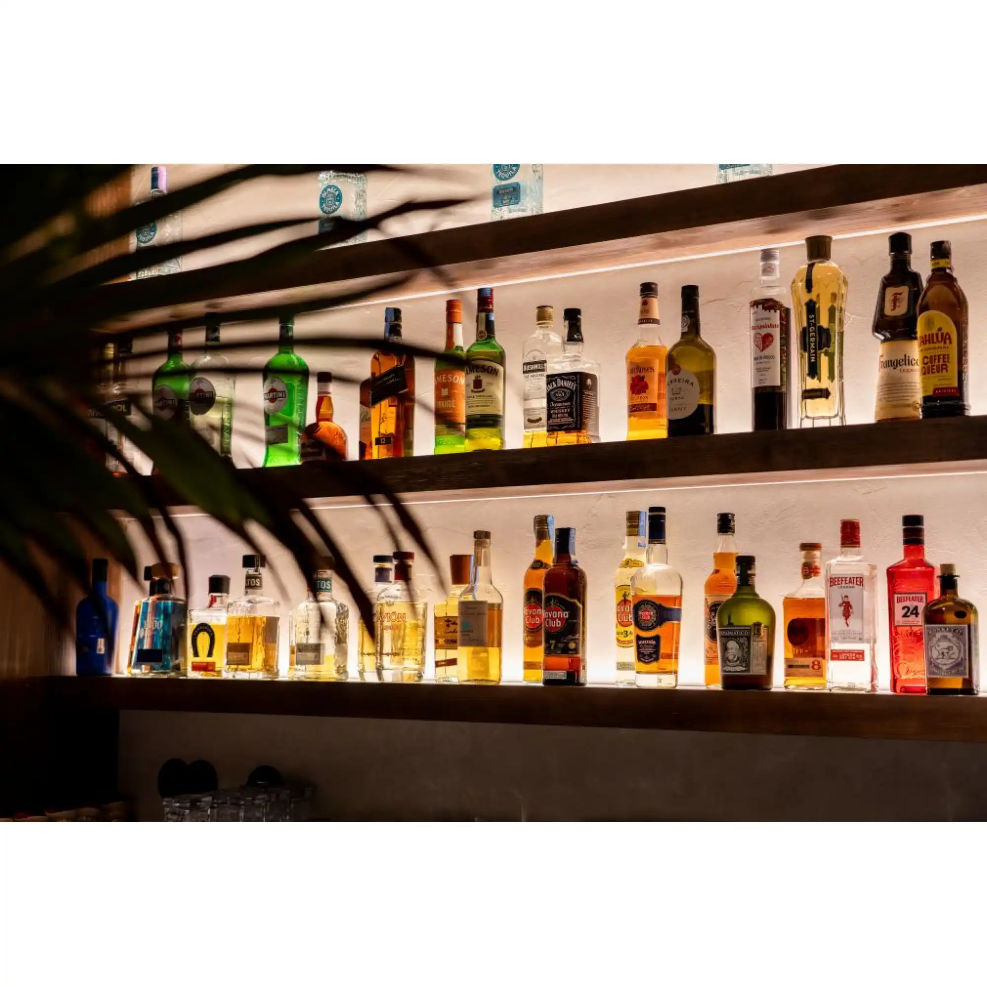 131521.1530_112958530555196