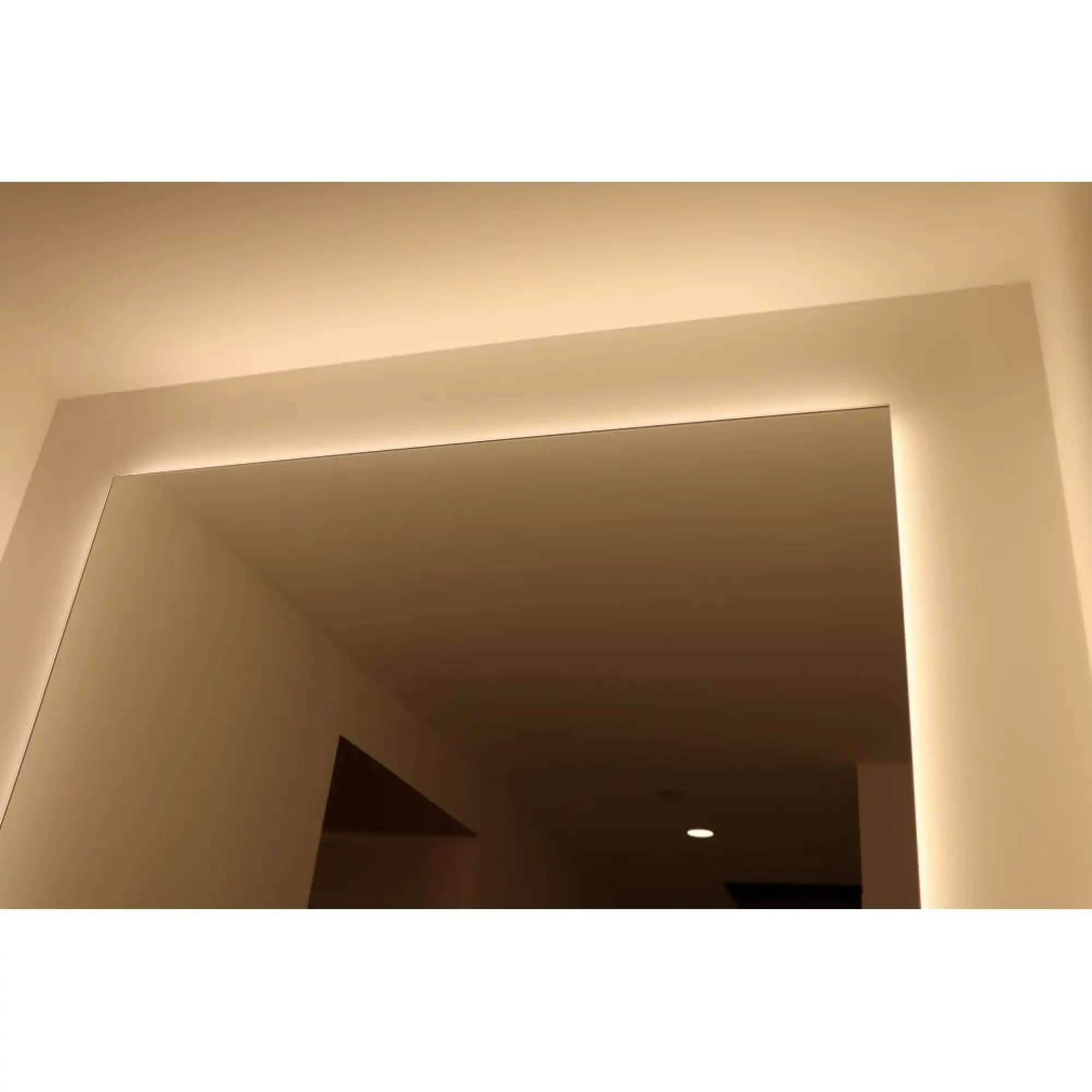 13324.1540_107156396957280