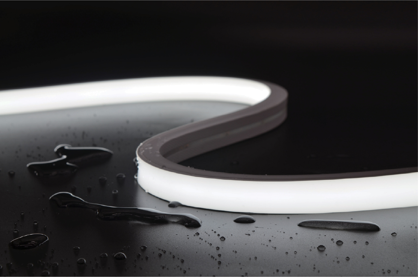 13613136.1027_82778161324336