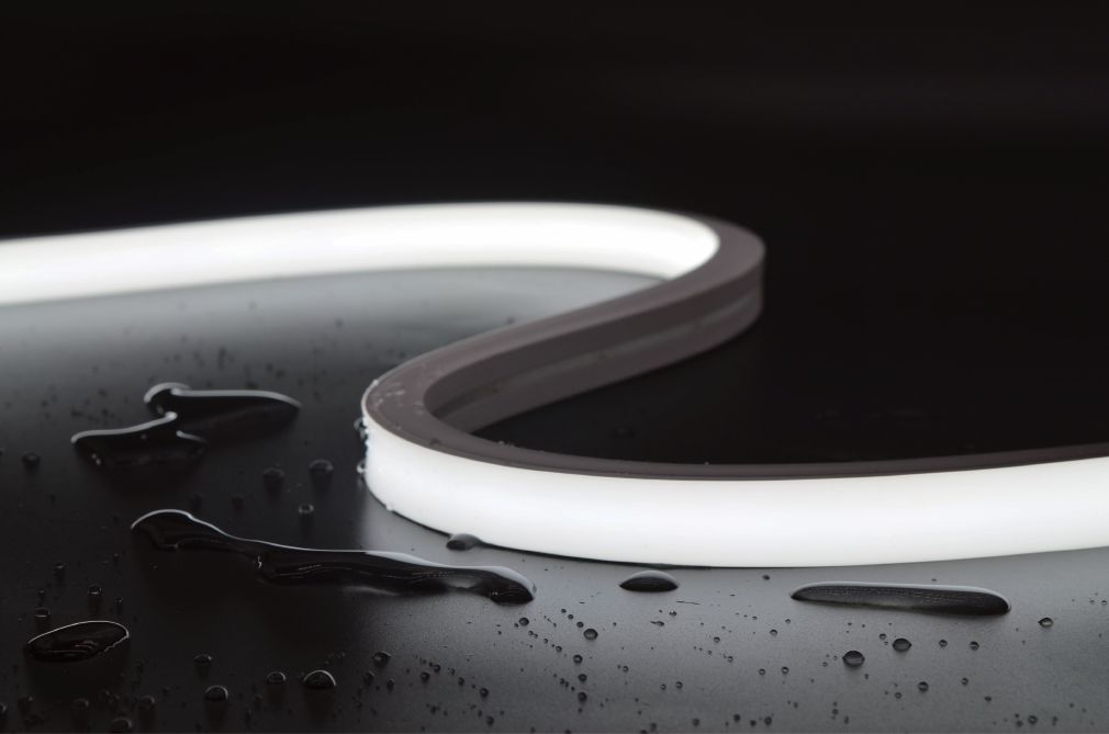 13613136.10RGB_169982252848650