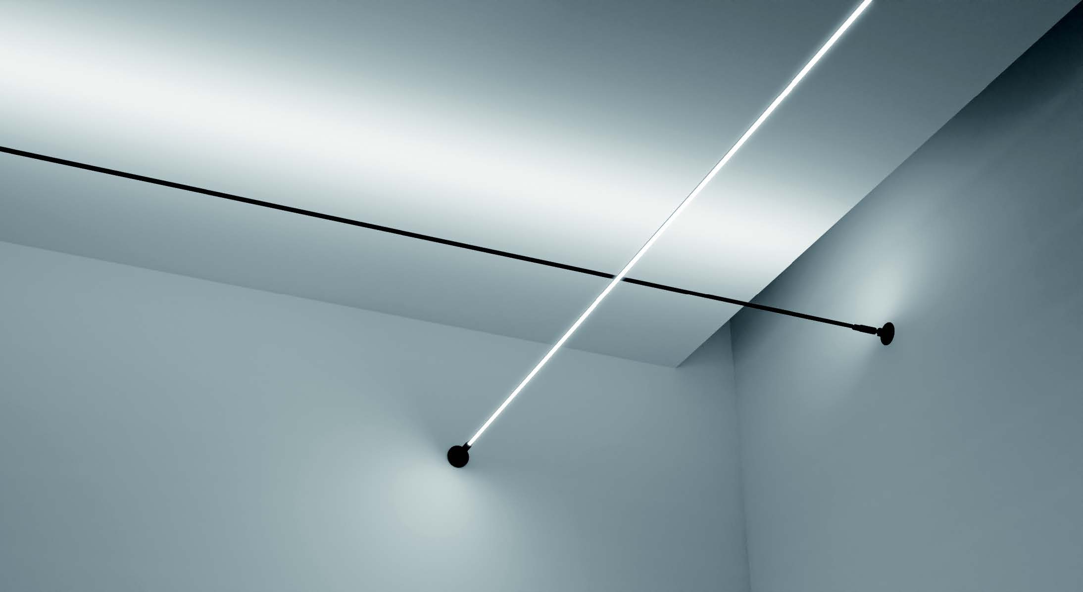 195124.1027_121881904834185