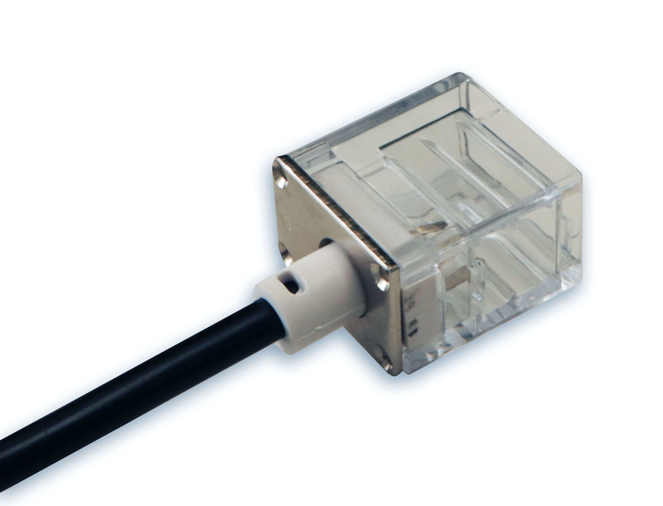 2219247_146246585031112