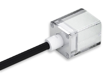 2220244_169241000120751