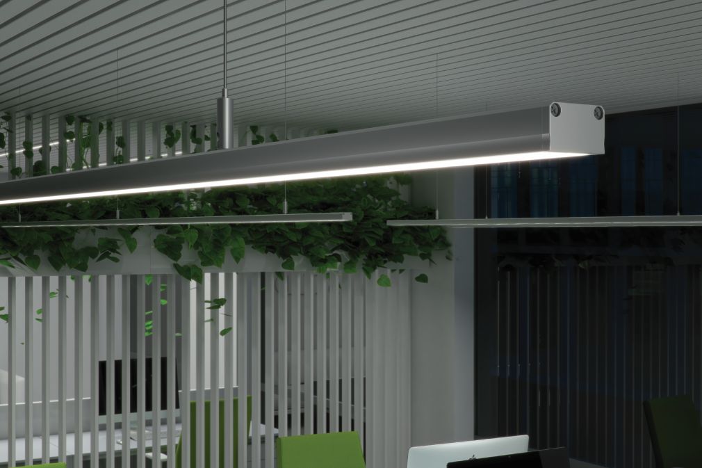 PFA191_49788852667484